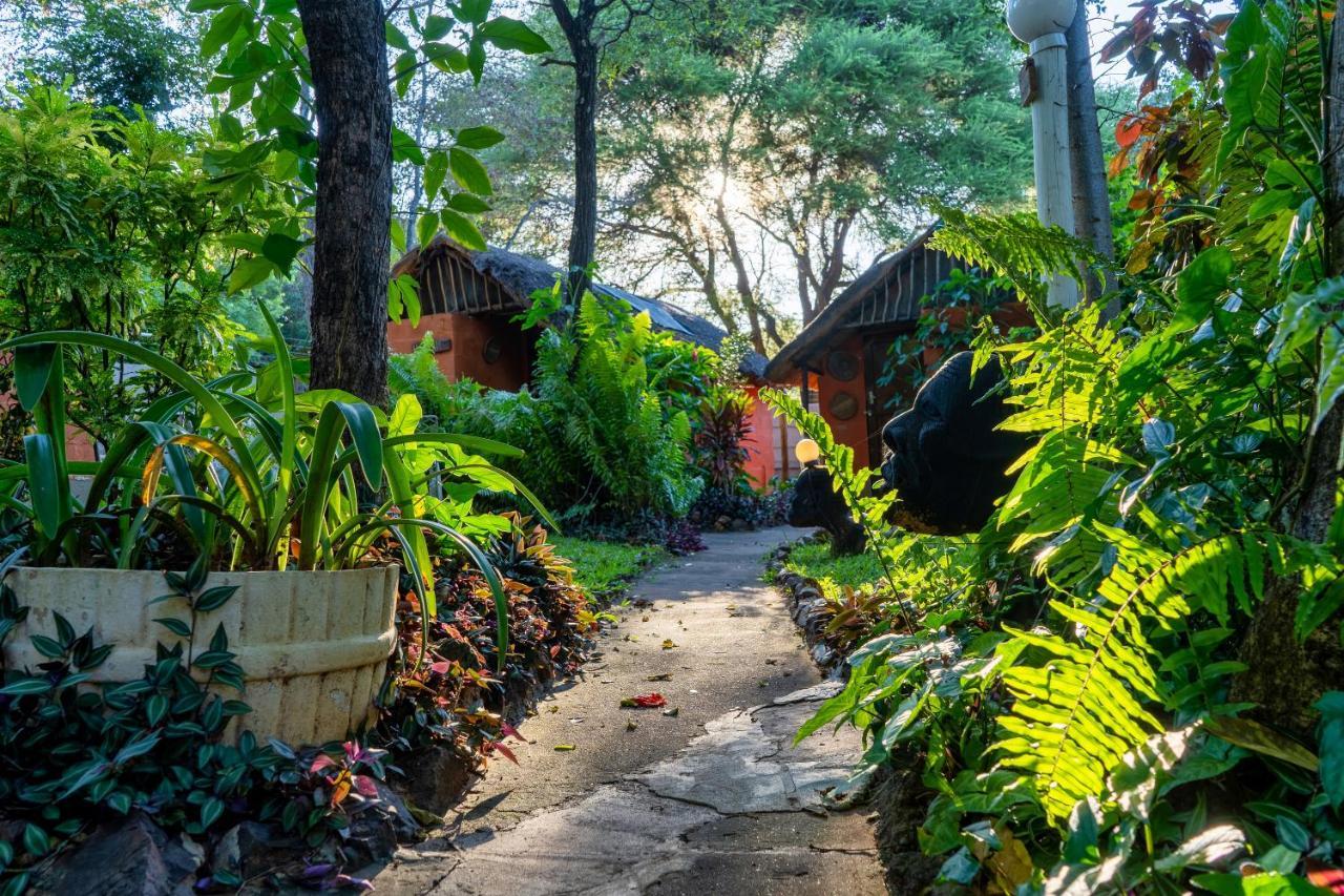 Victoria Falls Backpackers Lodge Exterior foto