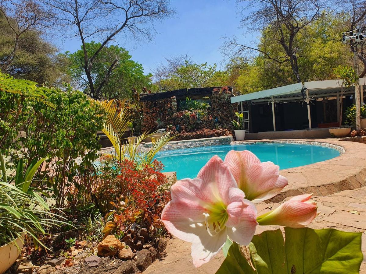 Victoria Falls Backpackers Lodge Exterior foto